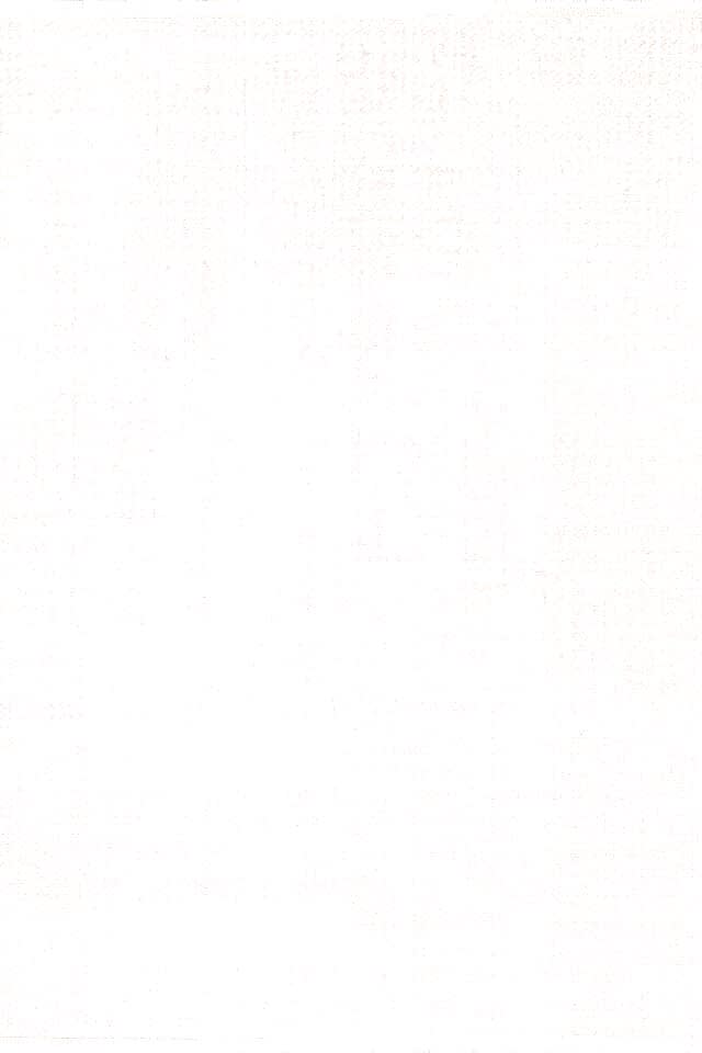 Bahariye Beste - BS01 Krem